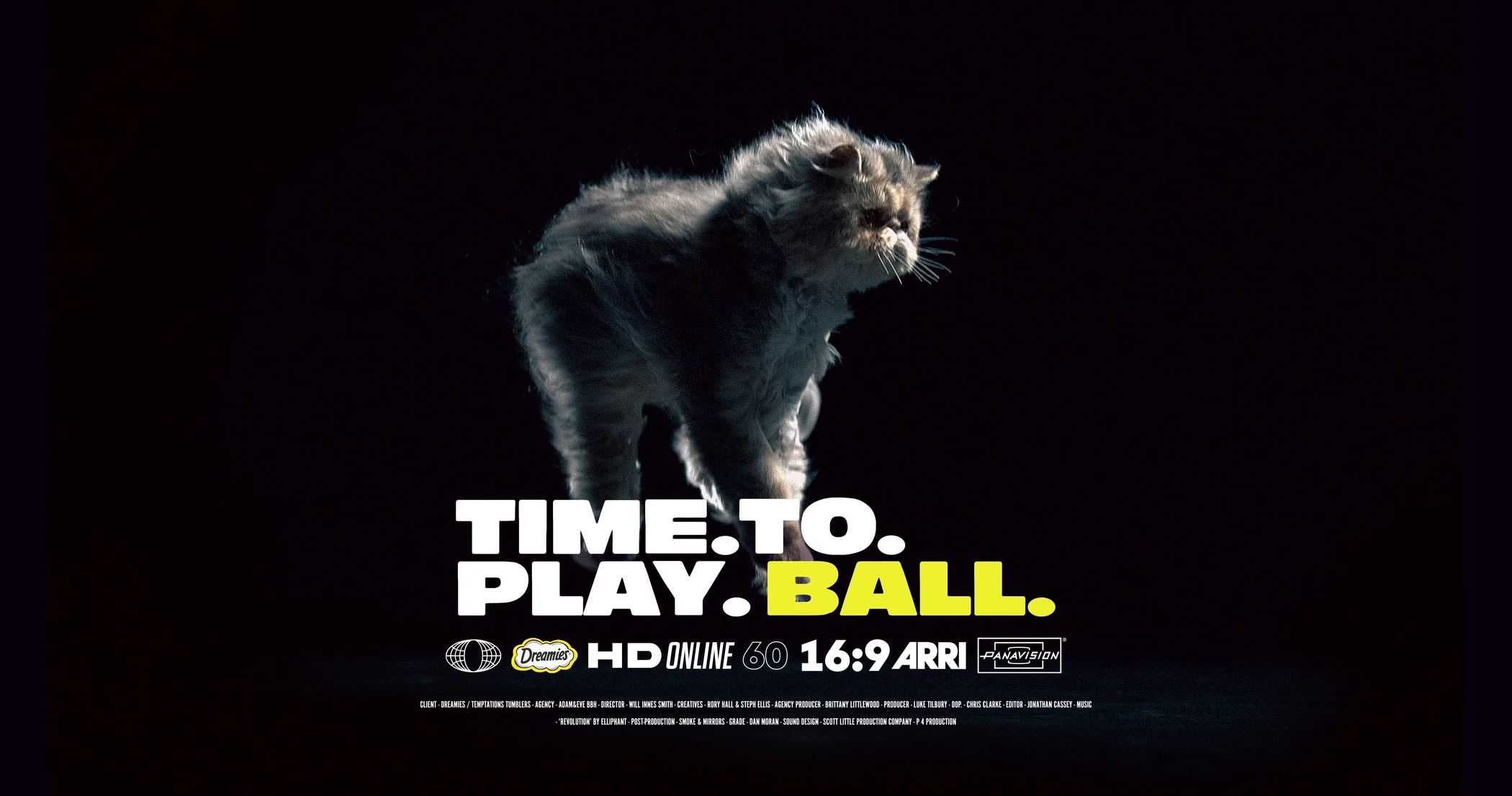 Time To Play Ball · Dreamies
